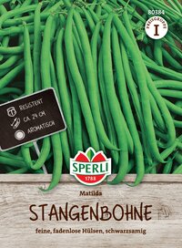 Grüne Stangenbohnen im Karton, resistent, circa 24 cm lang, aromatisch.