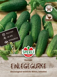 Einlegegurken auf Holzbrett, grüne und geriebene Früchte, mit Labels und grünem Laub.