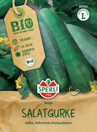 Grüne Salatgurken mit Bio-Label, ca 30 cm lang, kurzer Erntezeit, auf bewährtem Bio-Sorten.