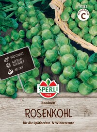 Brussels sprouts aus dem Supermarkt, geeignet für Spätherbst und Winterernte.