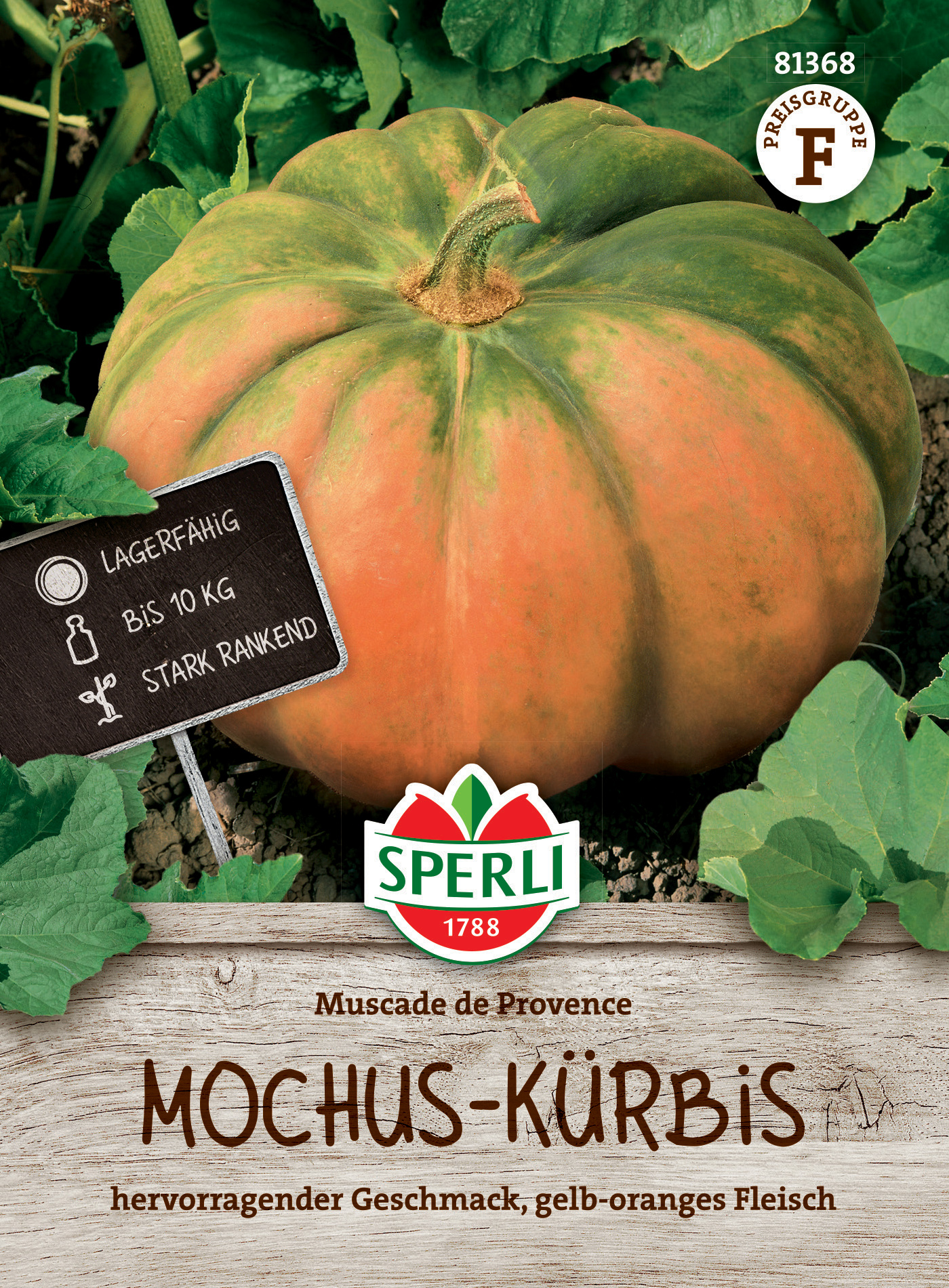 Großer, gelb-orangener Muskat-Kürbis auf Erdbeet mit grünem Laub.