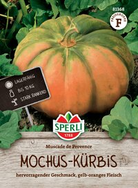 Großer, gelb-orangener Muskat-Kürbis auf Erdbeet mit grünem Laub.