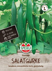 Grüne Salatgurken an Pflanze mit Blattwerk, auf Holzuntergrund, mit Etikett und Logo.