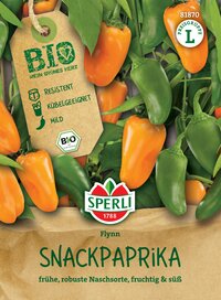 Bunte Snackpaprika mit grünen und orangen Früchten, auf Pflanze im Hintergrund.