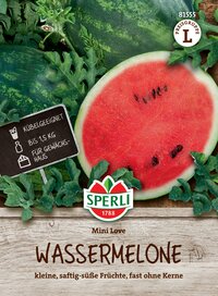 Halbe Wassermelone mit grünem Rinde und schwarzem Kern, umgeben von grünen Blättern.