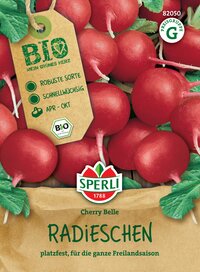 Radieschen, rote Knollen, mit grünen Blättern, in Papiertüte, Bio-Qualität, für die Freilandsaison.