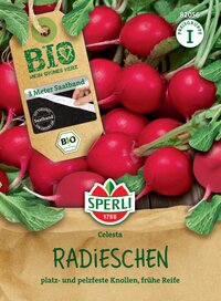 Radieschen mit grünen Blättern und rotem Knoll, liegend auf braunem Papier, Verpackung mit Label und Aufdruck.