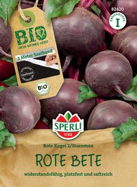 Rote Bete, runde Knollen mit grünen Blättern, Bio-Qualität, widerstandsfähig, platzfest, saftrich