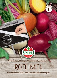 Verschiedene rote Bete Sorten mit bunten Geschmackrichtungen, umgeben von Gemüse im Boden.