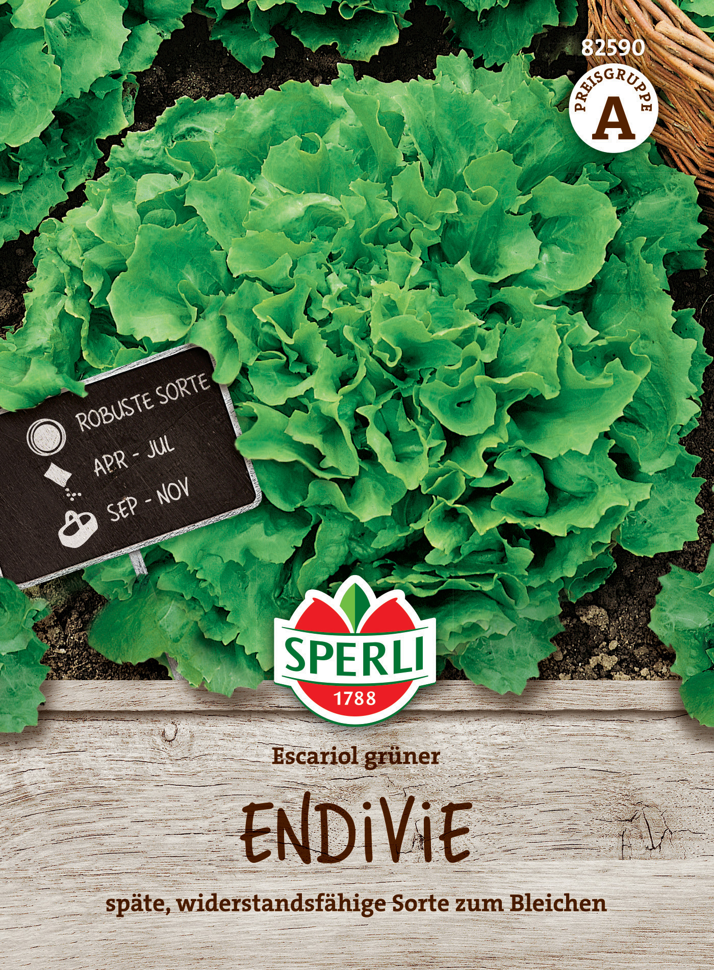 Grüner Endivie Salat auf Erde, mit Schild und Logo, Aussaat April bis Juli, Ernte September bis November.