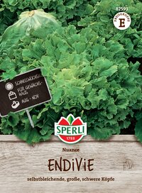 Kopfsalat Endivie, große, schwere Köpfe, wächst schnell, für Gewächshaus, August bis November.