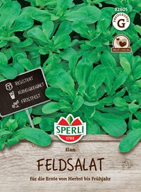 Grüner Feldsalat mit großen Blättern, wächst im Beet, für Herbst bis Frühjahr.