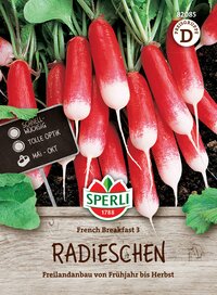 Radieschen auf Erde mit grünen Blättern, auch in Töpfen.