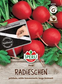 Radieschen mit grünen Blättern, rote Knollen, auf Holzuntergrund, Packungsdesign.