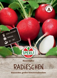 Radieschen mit grünen Blättern und Wassertröpfchen, auf Holzplatte.