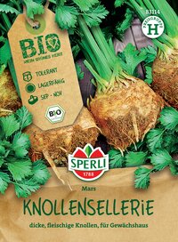 Knollensellerie mit grünen Blättern und großen, dicken Knollen auf braunem Hintergrund.