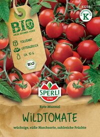Tomaten an Pflanze, rote Murmel, auf Packung abgebildet.