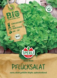 Grüner Pflücksalat mit dicht gefüllten Köpfen, auf einem Holzuntergrund.