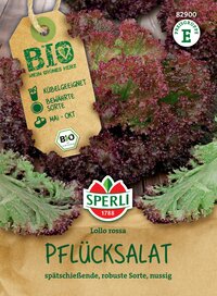 Rotloffene Pflücksalat mit roten und grünen Blättern, etikettiert von Sperli, Bio-Qualität, erntebereit Mai bis Oktober.