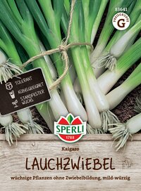 Frühlingszwiebeln, weiße und grüne Stangen, auf Erde, mit Label und Schriftzug.
