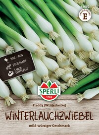 Frühreife Winterlauchzwiebeln mit weißen Bulben, grünem Stängel, mildem Geschmack, auf Holztisch.