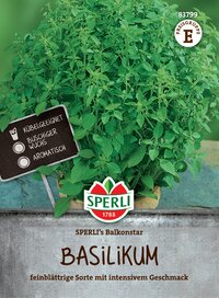 Basilikum mit intensiven Geschmack, buschiger Wuchs, geeignet für Kübel.