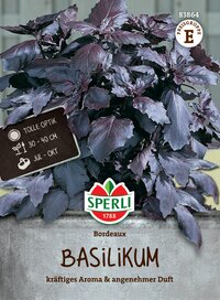 Bordeaux Basilikum Pflanze mit dunkelvioletten Blättern, im Topf, mit Label und Markenlogo.