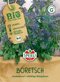 Borretsch mit blauen Blüten und grünem Laub, auf Verpackung angezeigt.