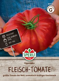 Große Fleischtomate mit grünen Stängeln, in Händen gehalten, auf Holzoptik-Hintergrund, BEV-Etikett, Logo, Schreibweise.