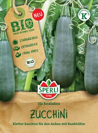 Zucchini, Bio, groß, ertragreich, frühe Ernte, Kletter-Zucchini für den Anbau mit Rankhilfen.