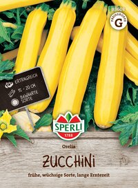 Gelbe Zucchini aufgebraucht, längliche Sorte, lange Erntezeit, frühe, wüchsige Ausgabe.