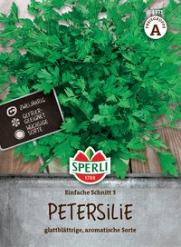 Petersilie mit glattrilligen, aromatischen Blättern, 2 Jahre alt, geeignet zum Wachsen.