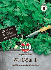 Petersiliepflanzen mit Messer im Boden, grüne Blätter, auf Verpackung.