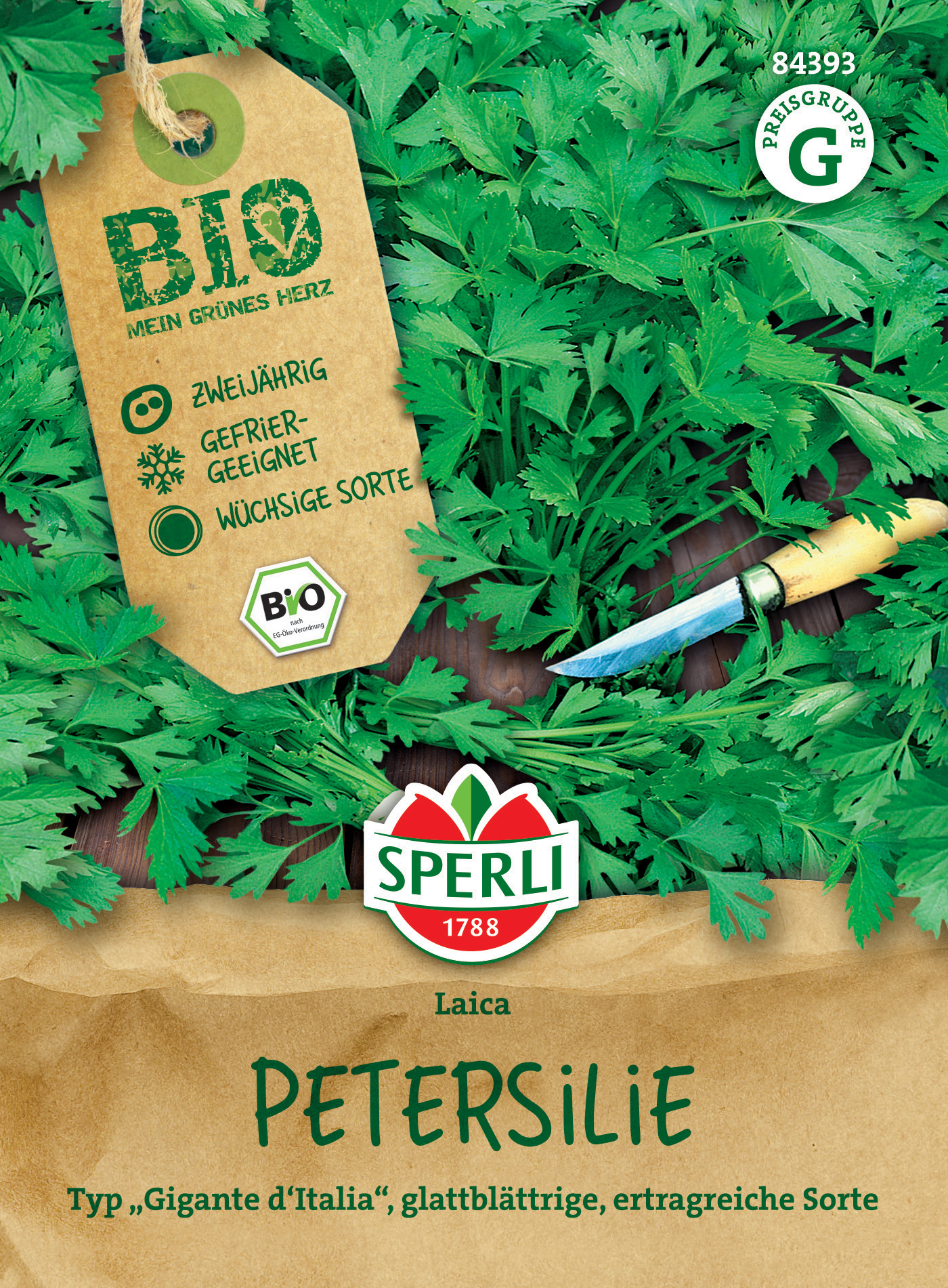 Petersilie im Garten mit Messer, großblättrige, ertragreiche Sorte, Bio, zwei Jahre alt, geeignet für Gefriertruhe.