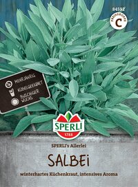 Spreli Salbei, winterhartes Küchenkraut, intensives Aroma, mehrjährig, kübelgeeignet, buschiger Wuchs.