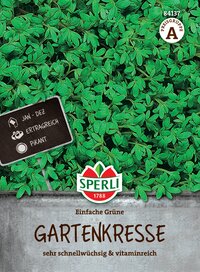 Gründliche Gartenkresse mit vielen Blättern, im Topf, auf Pflanze mit Gärtnerschild, gelblich-grünen Blättern.