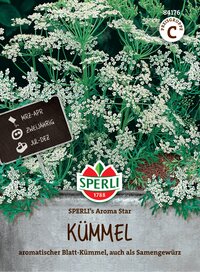 Aubergine, weiße Blüten, grünes Laub, kleines Schild mit Daten, Pflanze in einem Blumentopf.