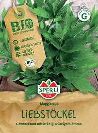 Pflanzenbild mit grünen, gezackten Maggikraut-Blättern in einem Topf, Verpackung mit Produktinformationen.
