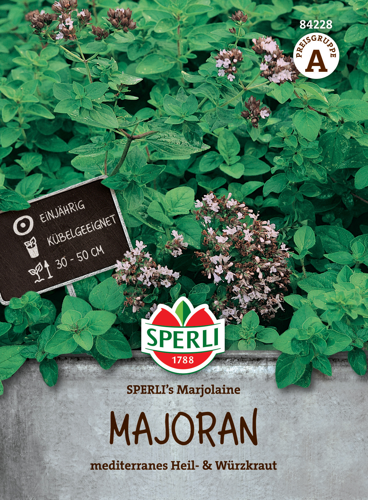 Majoran wächst in einem Topf mit grünen Blättern und rosa Blüten auf einem Kräuterbeet.