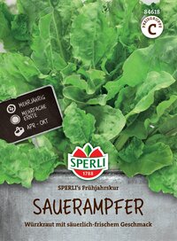 Frischer Sauerampfer mit grünen Blättern und einem Hinweis auf Mehrjährigkeit und frühe Ernte.