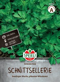 Schnittellerie Pflanze mit grünen Blättern, Sparli Logo, Pflanzenschild mit Pflegehinweisen, Text: Gewöhnliche Schnittellerie.