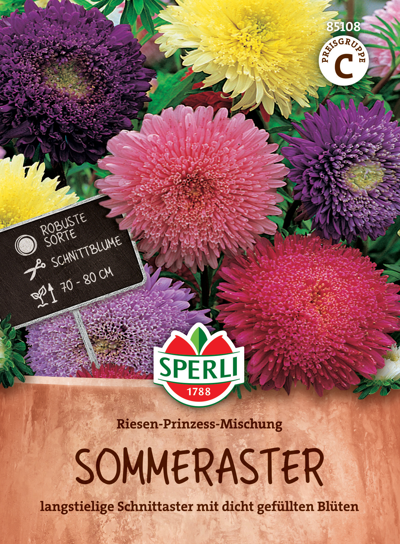 Bunte große Sommeraster mit festen Blüten, circa 70-80 cm hoch, in Pink, Gelb und Lila, auf diesem Bild.