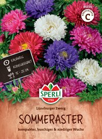 Bunte Sommeraster mit rosa, lila und weißen Blüten, für Beet und Topf, 15-25 cm hoch, einjährig