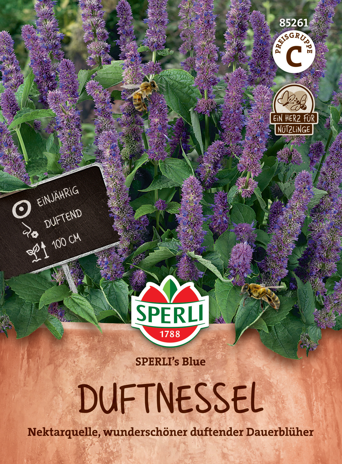 Blaue Duftnessel mit grünen Blättern und lilafarbenen Blüten, Biene sammelt Nektar.
