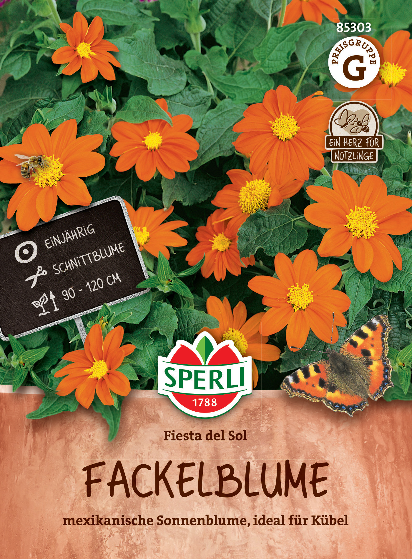 Orange Fackelblumen im Topf mit grünen Blättern und einer Biene.