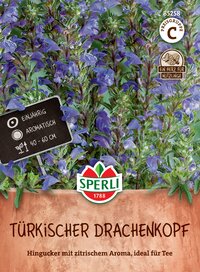 Blick auf türkischen Drachenkopf mit blauen Blüten, Pflanze in Terrakottatopf, Sparerli Logo, Hinweise auf Pflege und Aroma.
