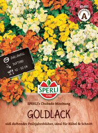 Bunte Goldlack-Blumen mit grünen Blättern, auf Verpackung abgebildet.