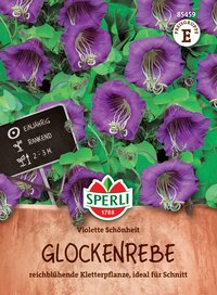 Lila Glockenreben mit grünen Blättern in Topf, Beschriftung und Logo auf der Verpackung