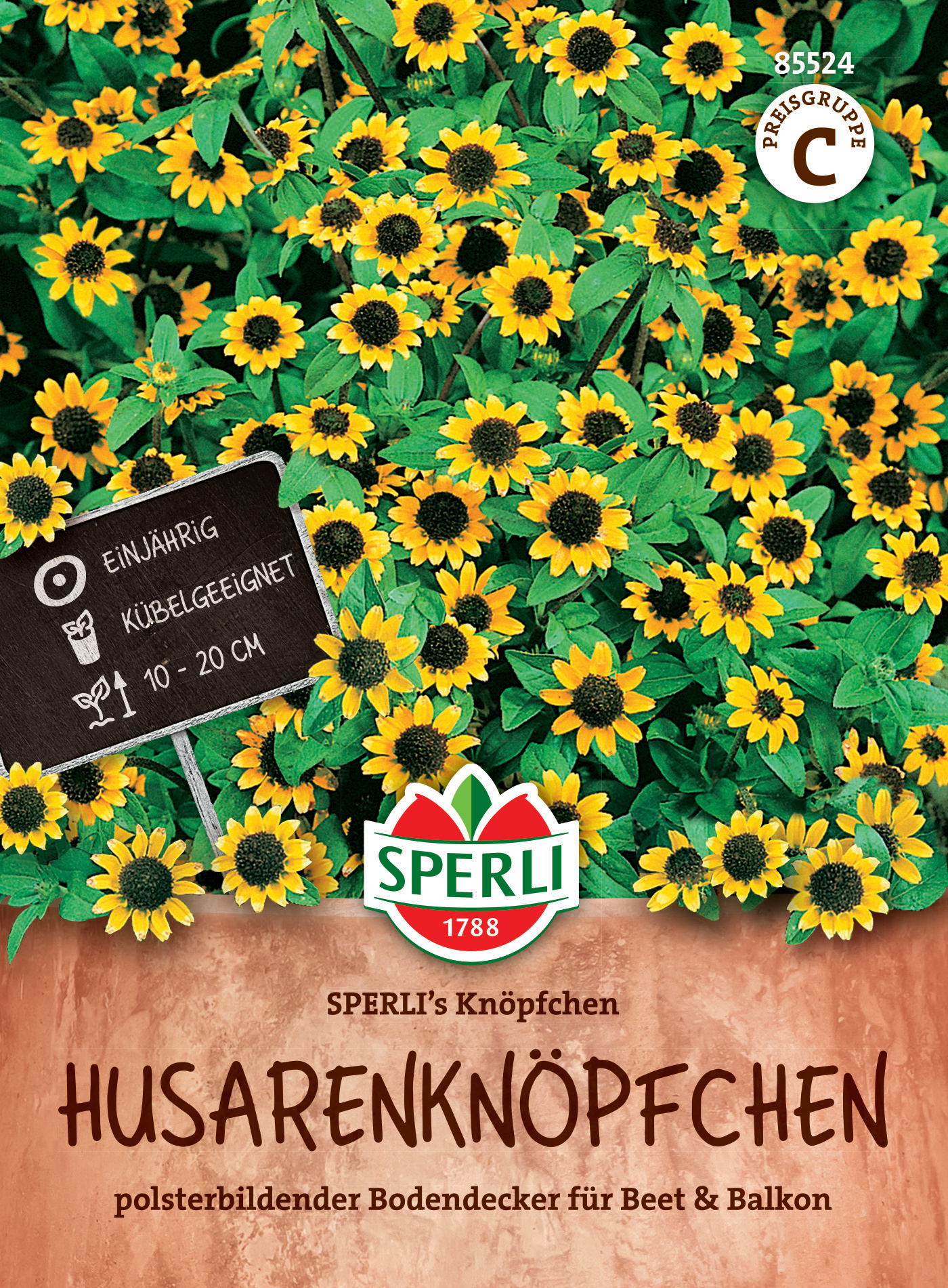 Gelbe Blüten des Husarenknöpfchens, bodendeckend, einjährig, 10-20 cm hoch.