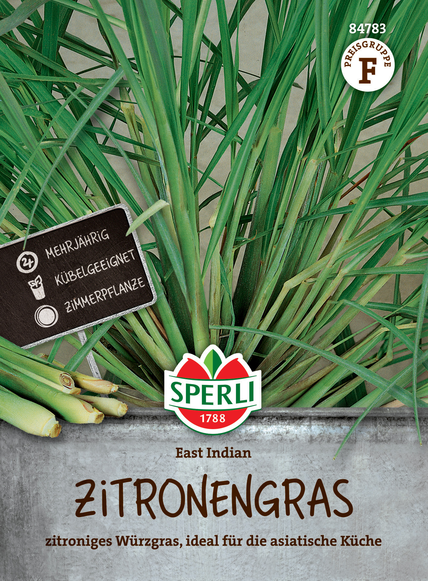 Zitronengras Pflanzen in einem Topf, grün, lang, schmal,  Mehrjährig, kübelgeeignet, Zimmerpflanze.